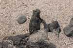 KK_20130305-KK_L3531