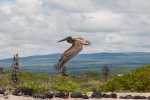 KK_20130305-KK_L3534