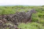 KK_20130305-KK_L3608