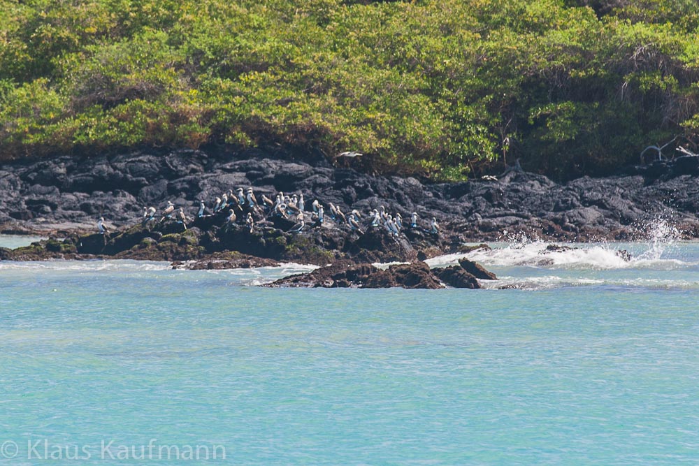 KK_20130227-KK_L3360