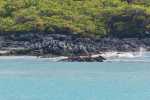 KK_20130227-KK_L3360