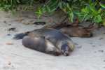 KK_20130304-KK_L3394