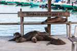 KK_20130304-KK_L3398