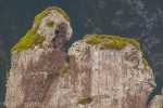 004_003_KK_20130328-KK_L3736
