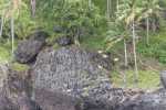 009_009_KK_20130328-KK_L3733