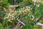 003_kk_20130403-kk_l3767