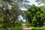015_kk_20130403-kk_l3942