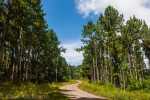 016_kk_20130403-kk_l3943