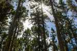 017_kk_20130403-kk_l3947