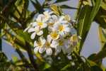 030_kk_20130403-kk_l4053