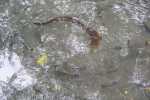 12_blog_20130604_dsc09529