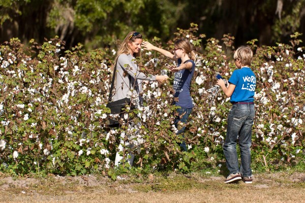 04_Boone_Hall-3