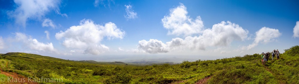 Blick auf die Südküste von Isabella